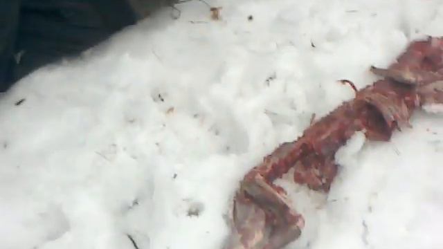 рибалка на чупокабру смотреть онлайн