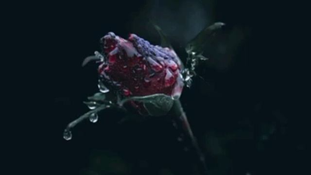 amd ryzen 7 4700g rtx 3060 | amd ryzen 7 4700g oem обзор | Mrs.Wealth Tips смотреть онлайн