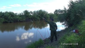 Рыбалка на соски. Ловля карася на соски