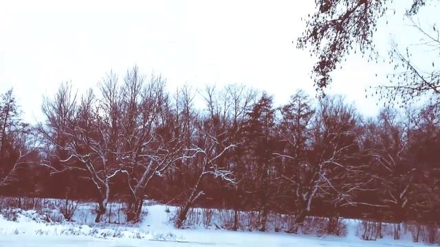 Серые шейки в полынье смотреть онлайн