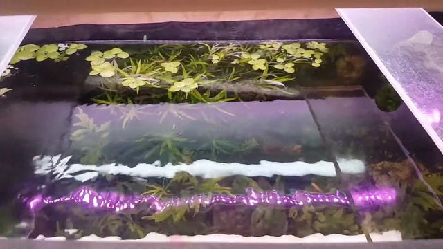 Аквариум 200л. смотреть онлайн