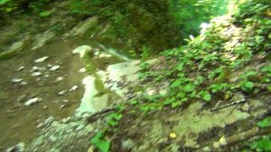 Лазаревское. Бесконечная лестница или Водопад Шапсуг.
