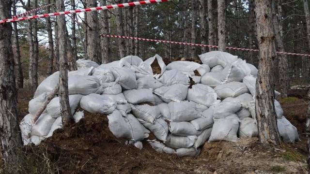 Сотрудники МЧС Севастополя обезвредили 10 авиабомб времен Великой Отечественной