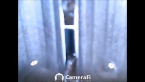 Промывка печки универсальная не снимая радиатора на примере ЗАЗ(ZAZ)Ланос Шанс Сенс