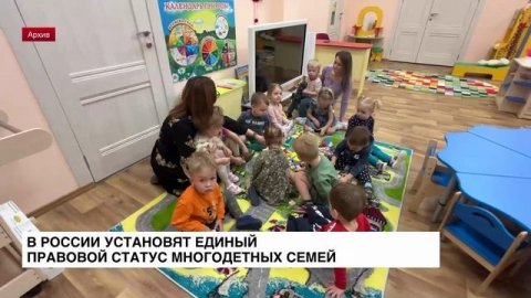 В России установят единый правовой статус многодетных семей