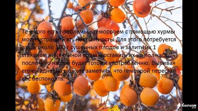 Хурма поможет избавиться от морщин смотреть онлайн