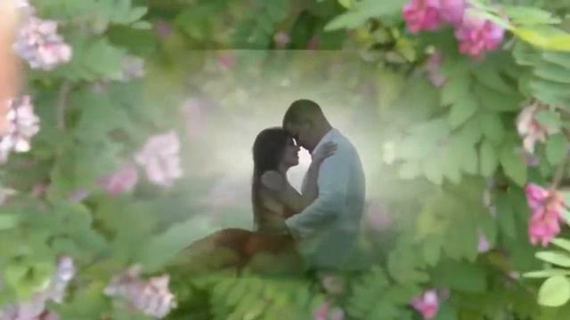 Запах акации- песня- поёт Ирена Шемис смотреть онлайн