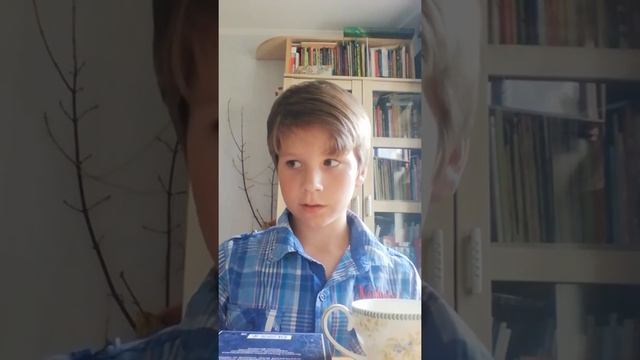 Обзор книги " Серебряные коньки" смотреть онлайн