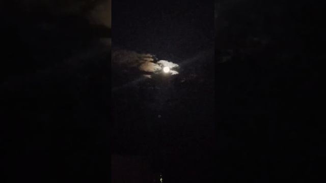 Крематорий. Дом вечного сна смотреть онлайн