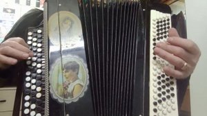 Учат в школе ( баян кавер Тёрочка)