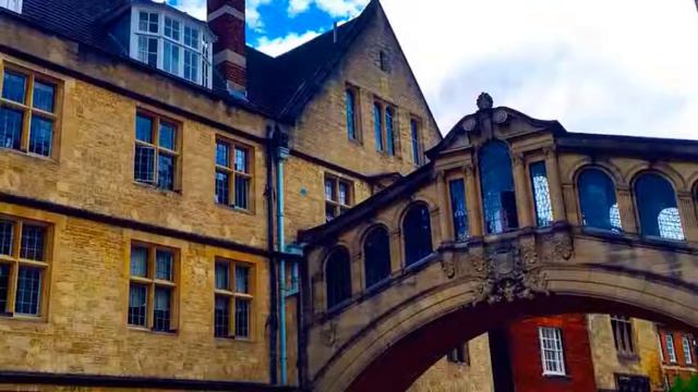 Unforgettable Experience by Pigeons