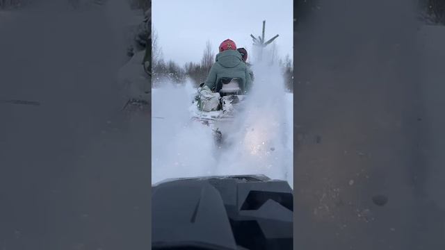 brp