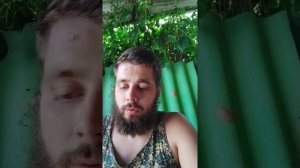 Тафон Нчукви Карлос Ульберг прогноз на UFC