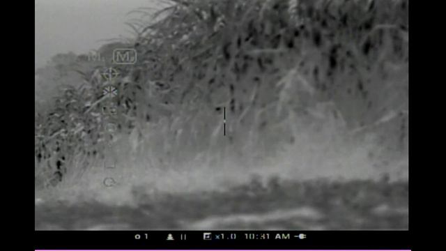 Lehigh Defense 300 Blackout 194gr Maximum Expansion Pulsar Apex XD75 Sight In смотреть онлайн