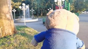 БАСИКИ В ПАРКЕ НА КАРУСЕЛЯХ \ БАСИКИ ГУЛЯЮТ ЛЕТОМ \ КУДА ПРОПАЛ БАСИК? #котбасик #басики