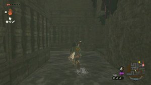 The Legend of Zelda Tears of the Kingdom Остров Лабиринта