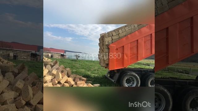 Марка 25 Сакская ракушка смотреть онлайн