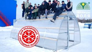 Теплицы от компании "Воля"