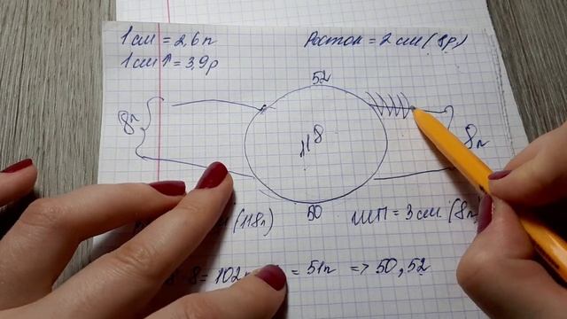 Расчёт V-образного выреза и ростка в реглане-погоне