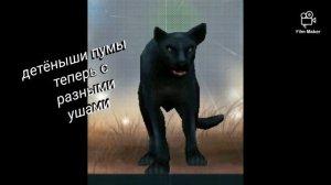 Wolf Tales смена имени и новые баги