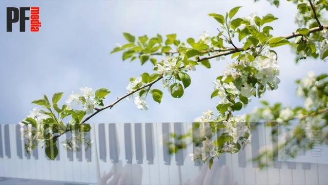 Очень красивая музыка для души!!! Красивая музыка без слов на фортепиано