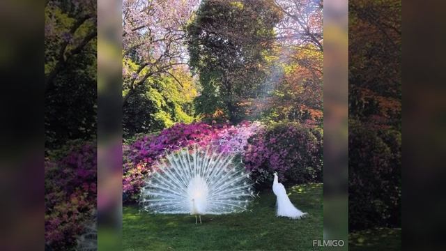 ПУСТЬ УЛЫБАЕТСЯ ДУША,А СЕРДЦЕ РАДУЕТСЯ ЖИЗНИ! смотреть онлайн