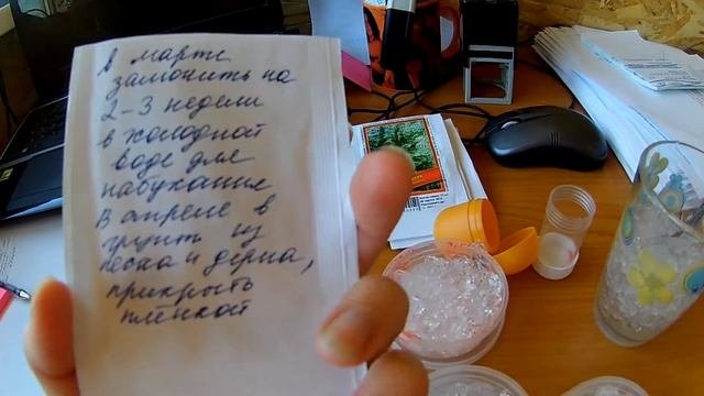 Семена хвойных/Стратификация/Гидрогель