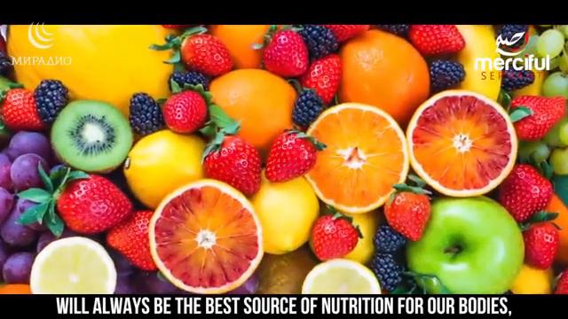 БОЛЬШОЙ ЖИВОТ смотреть онлайн