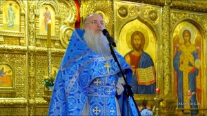 Проповедь на Введение во храм Пресвятой Богородицы | Протоиерей Сергий Петряшов | 04.12.2022 г.