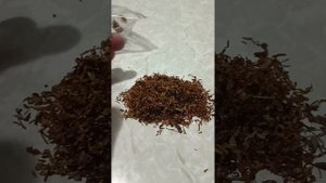 дегустация смеси Мальборо и французская смесь от магазина т 61