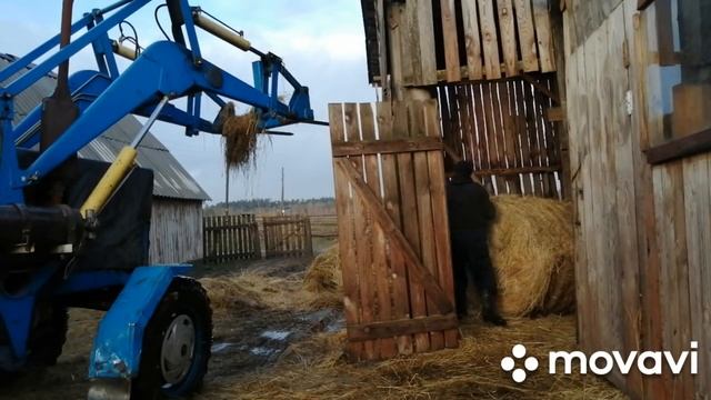 МИНИ-ФЕРМА!РАБОТЫ ЗИМОЙ-ЗАВОЗИМ СЕНО!ПОГОДА В КАЛИНИНГРАДСКОЙ ОБЛАСТИ!ВДВОЕМ НА БОЛЬШОМ ХОЗЯЙСТВЕ!