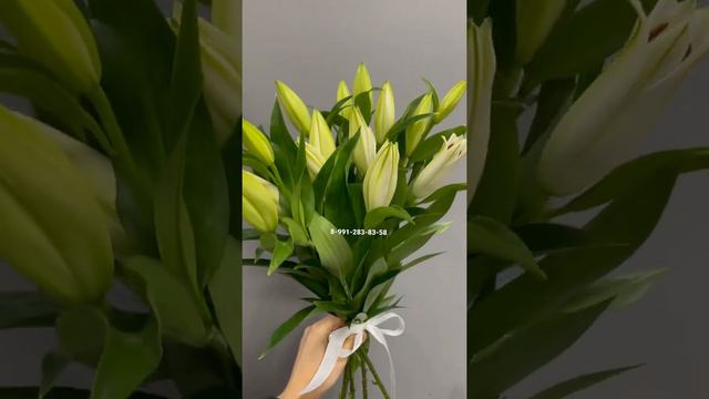 Букет из лилий смотреть онлайн