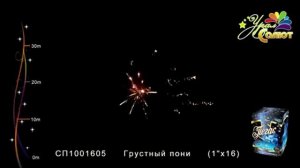 Пегас урал салют 0,8 16