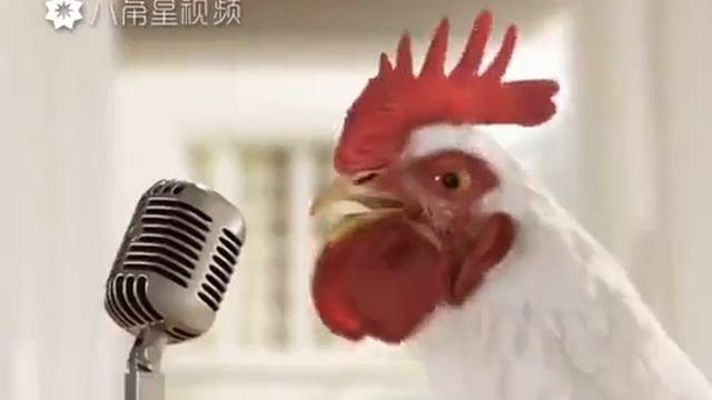 Петушиная песня смотреть онлайн