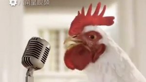 Петушиная песня