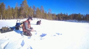 Рыбалка и охота на севере. В поисках хариуса. Часть 2