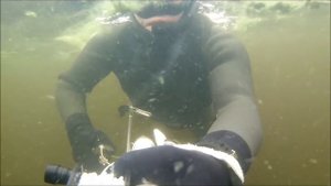 Подводная Охота!!!Днепр 2017г!!!