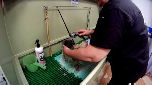 Комплексный уход.