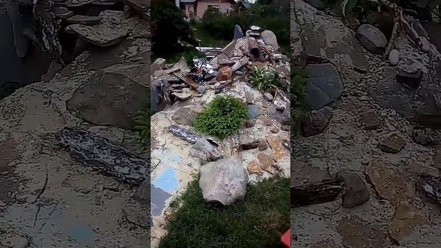 Рокарий и альпийская горка- Сын и я ! смотреть онлайн