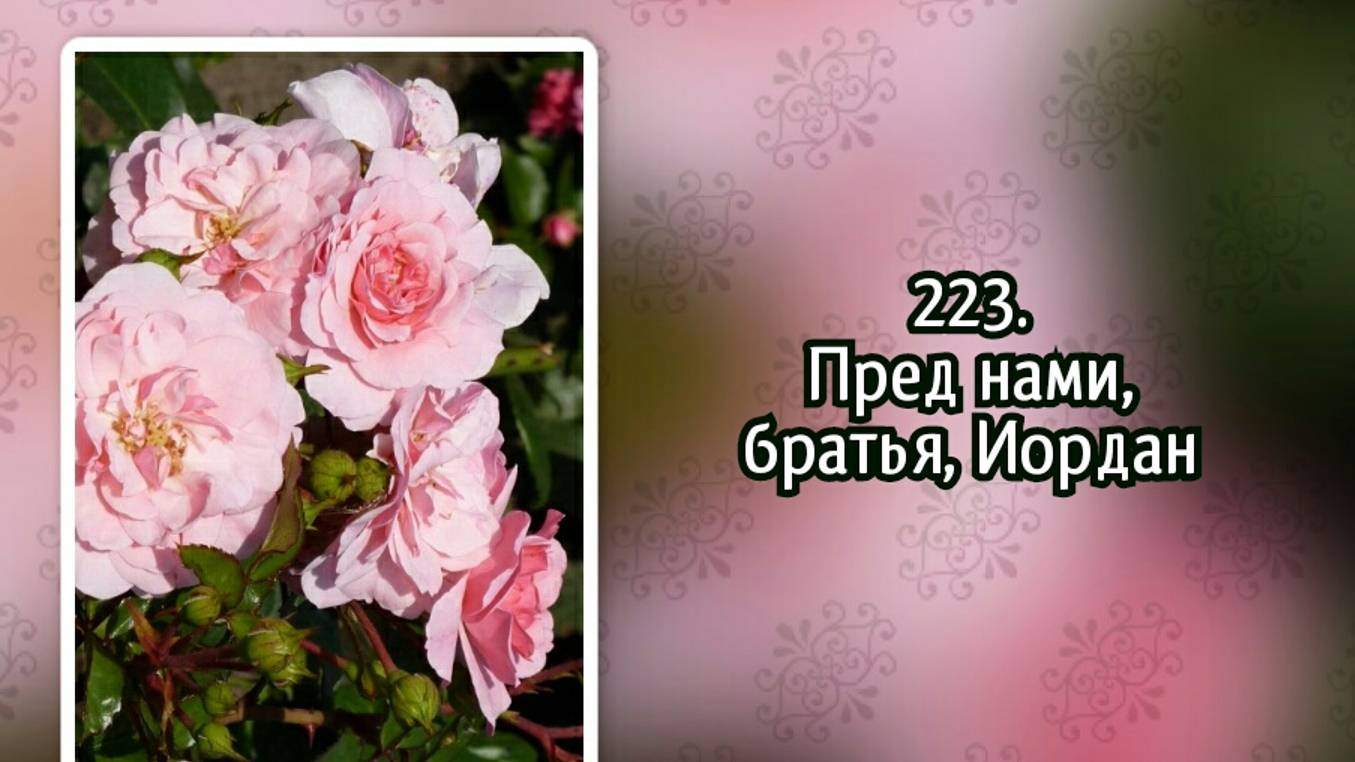 Гимны надежды 223 Пред нами, братья, Иордан (-)