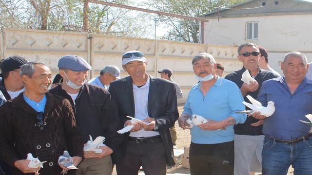 Акция голубь мира ко дню Победы! смотреть онлайн