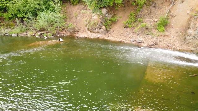 Водосброс Партизанской ГРЭС смотреть онлайн