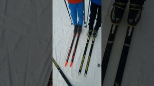 Что выбрать? Fischer vs Rossignol.