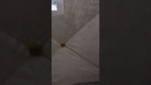 Палатка стэк куб 4 т