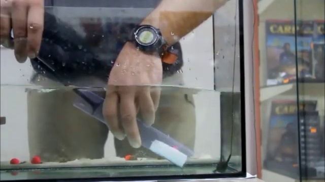 Ловля карпа. Поводки под водой часть 1 смотреть онлайн