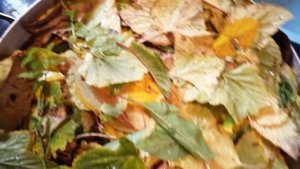 Моченые яблоки с мятой и медом.