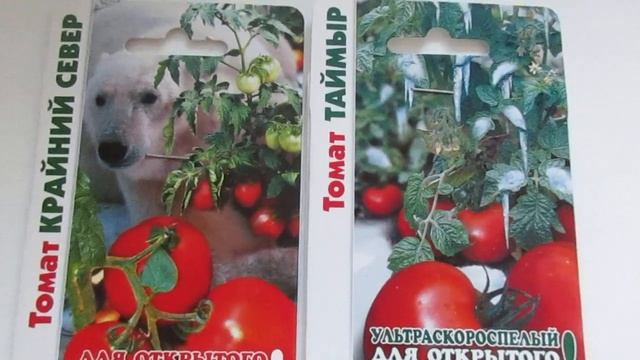 Томаты низкорослые.ТАЙМЫР И КРАЙНИЙ СЕВЕР.Не требуют формирования,стрессоустойчивые. смотреть онлайн