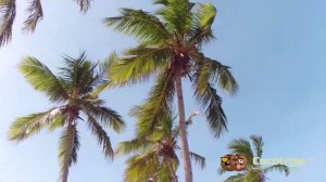 Пляж Макао - Доминиканская республика. Лучшие отели и пляжи Пунта Каны ( Доминиканы )