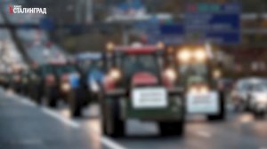 СИСТЕМНАЯ ПОДГОТОВКА ДЕФИЦИТА ПРОДУКТОВ. Игорь Кульков