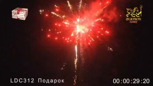 LDC312 Подарок